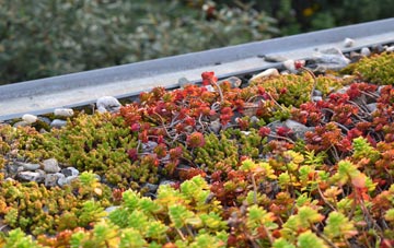 the cost of Sopworth green roof installation