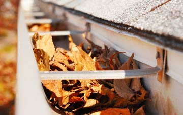 Sopworth gutter cleaning companies