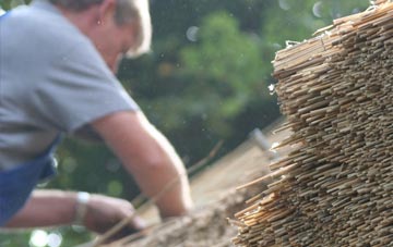 professional Sopworth thatchers