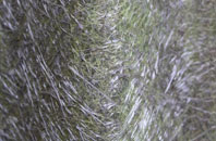 Sopworth fibreglass roof work